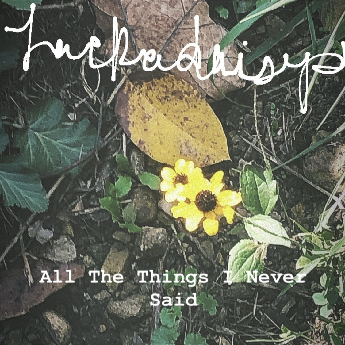 All The Things I Never Said ATTINS Album Lyrics